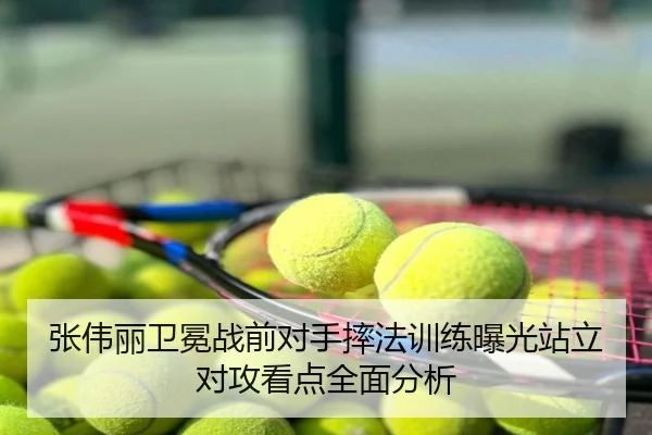 张伟丽卫冕战前对手摔法训练曝光站立对攻看点全面分析